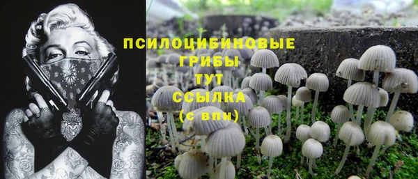 МДМА Дмитров