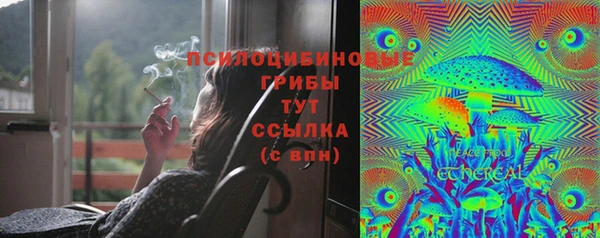 кокаин премиум Дмитриев